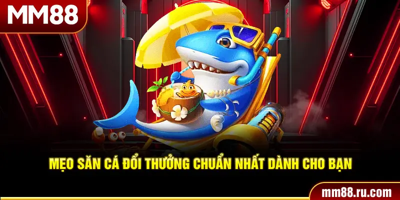 Mẹo săn cá đổi thưởng chuẩn nhất dành cho bạn