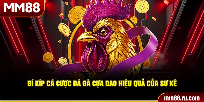 Bí kíp cá cược đá gà cựa dao hiệu quả của sư kê